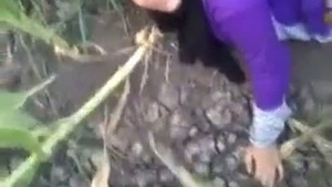 Hindisex video of a big ass bhabhi enjoying outdoors with her lovers