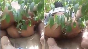Paki Randi got fucked outdoors