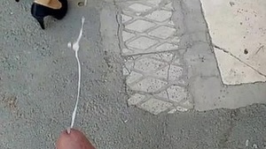 Reason Cumshot.