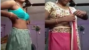 Desi Girl In Sari