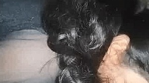 Naughty Desi girl gives a hot blowjob to her lover
