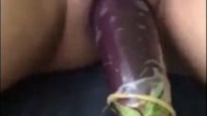 Desi bonito buceta quer grande