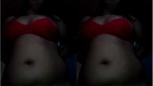 Part 3: Desi Girl Teases with Her Large Breasts and Vagina