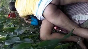 desi aunt outdoors Fucking in the field cane sex
