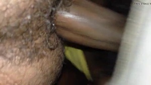 Galewela