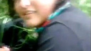 Selva porra