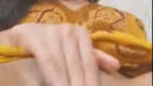 Desi indian girl masturbating fingering herself