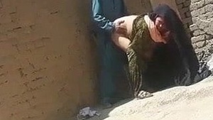 Pakistani tortoise-pigeon gets a taste of the open air