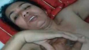Desi tia tímido