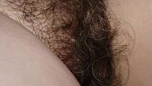 Fragile pussy