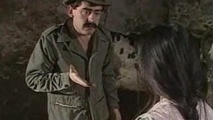 Vintage Defendé (1983) - Teo69