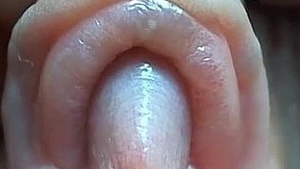 The clitoris is most assertive, but