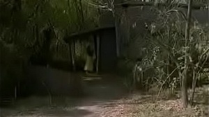 SEX movie