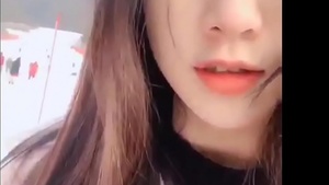 Chinese model