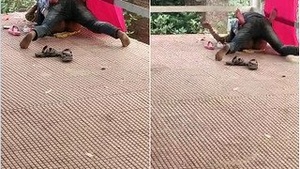 Exclusive Desi Randi Fucked In Railway Station Bridge