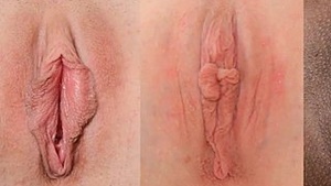 Types of pussies