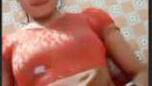 Desi Menina Showing