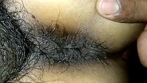Sri Anal Sri Lanka