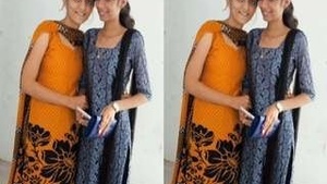 Pretty Indian girl gets rough anal sex from her lover
