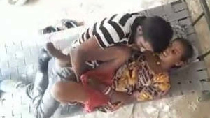 There is a forest scene in an Indian nature look pornography video.