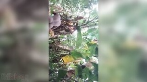 Amorous sex in the woods with a Bengali woman of a certain age