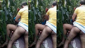 A hot exchange of blows between a wife and her neighbor in the fields.