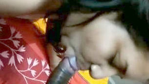 A hot scene of a homemade video with a bhabi giving blowjob and fucking in doggy style.
